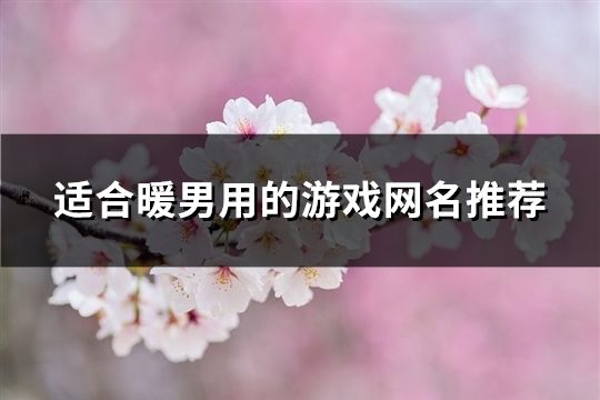 适合暖男用的游戏网名推荐(222个)