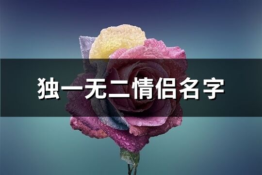 独一无二情侣名字(745个)