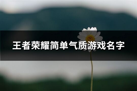 王者荣耀简单气质游戏名字(共811个)