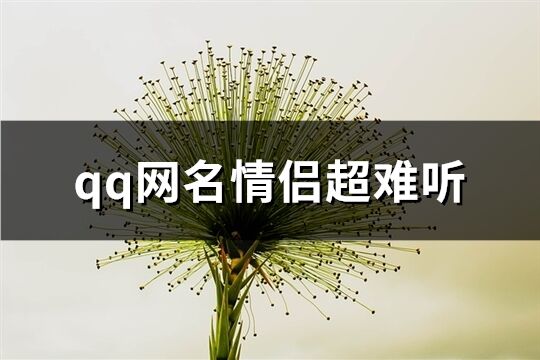 qq网名情侣超难听(245个)