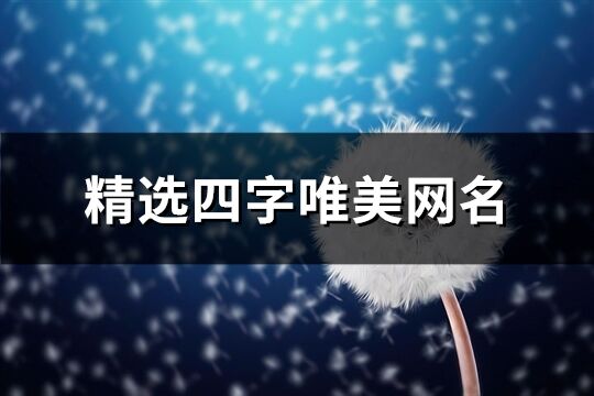 精选四字唯美网名(共2029个)