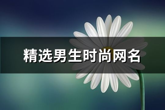 精选男生时尚网名(共175个)