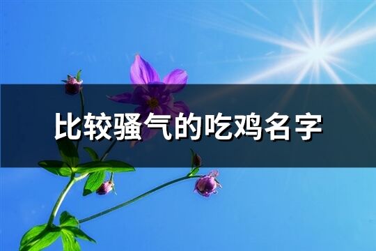 比较骚气的吃鸡名字(358个)