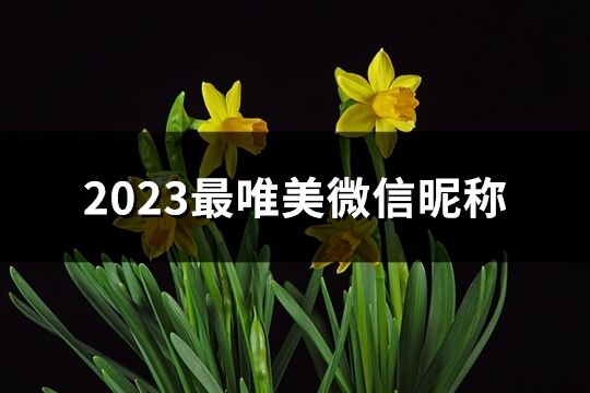 2023最唯美微信昵称(共135个)