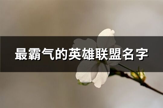 最霸气的英雄联盟名字(共259个)