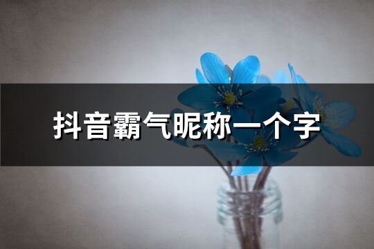 抖音霸气昵称一个字(共109个)