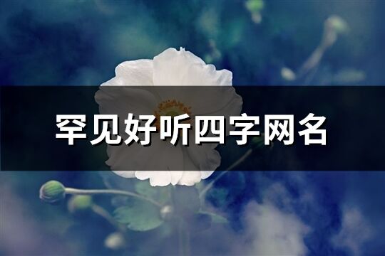 罕见好听四字网名(740个)