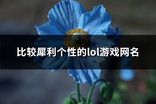 比较犀利个性的lol游戏网名(264个)