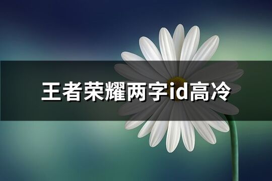 王者荣耀两字id高冷(929个)