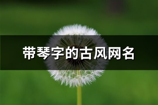 带琴字的古风网名(精选93个)