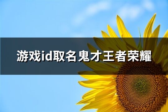 游戏id取名鬼才王者荣耀(73个)