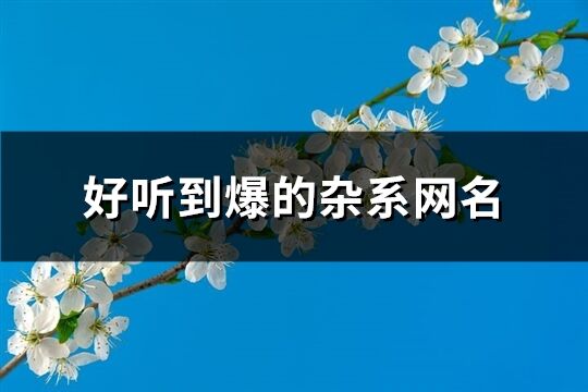 好听到爆的杂系网名(共163个)