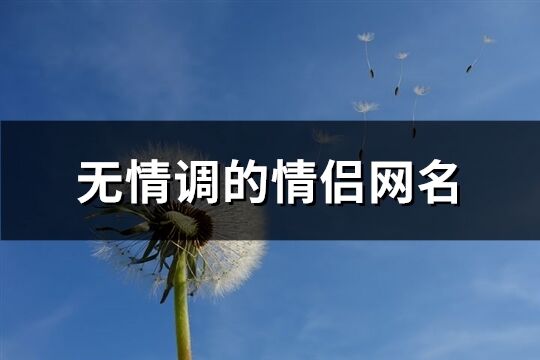 无情调的情侣网名(共98个)