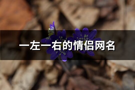 一左一右的情侣网名(共66个)