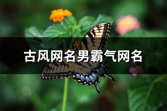 古风网名男霸气网名(精选246个)