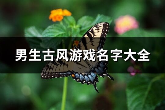 男生古风游戏名字大全(精选304个)