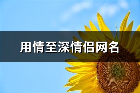 用情至深情侣网名(精选296个)