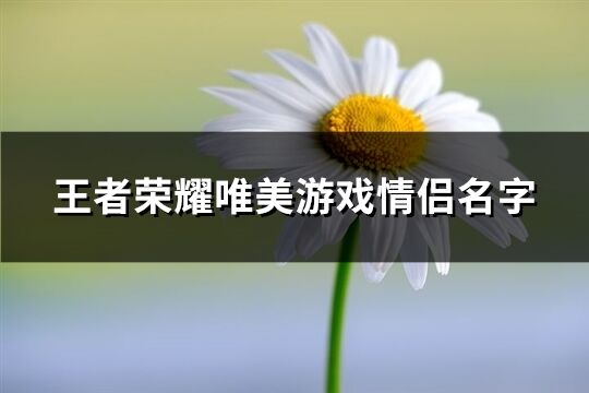 王者荣耀唯美游戏情侣名字(462个)