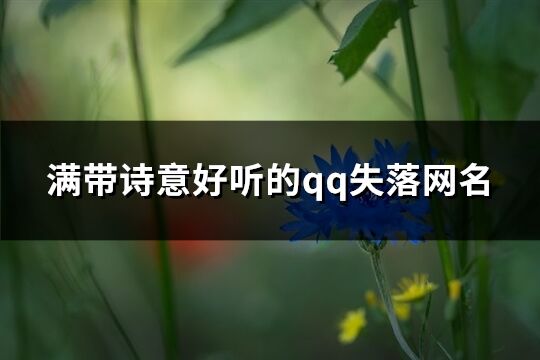 满带诗意好听的qq失落网名(共173个)