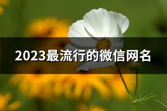 2023最流行的微信网名(精选1109个)