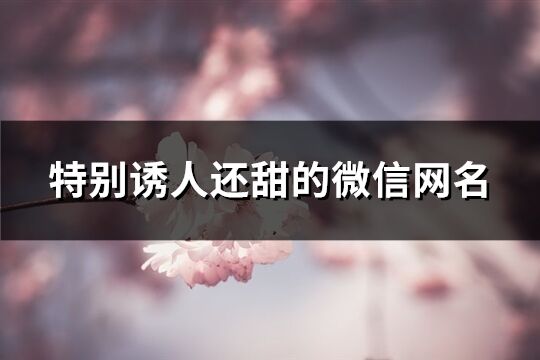 特别诱人还甜的微信网名(精选432个)