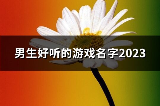 男生好听的游戏名字2023(共39个)