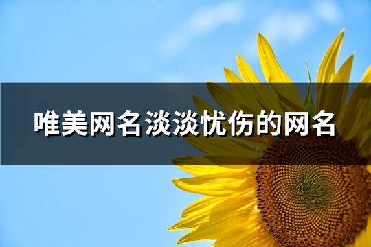 唯美网名淡淡忧伤的网名(453个)