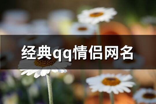 经典qq情侣网名(共102个)