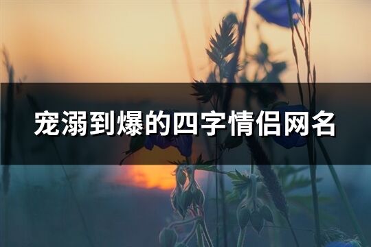 宠溺到爆的四字情侣网名(119个)