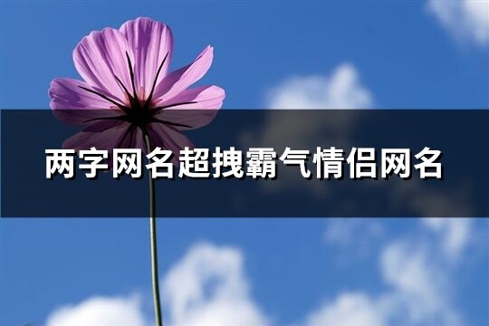 两字网名超拽霸气情侣网名(精选59个)