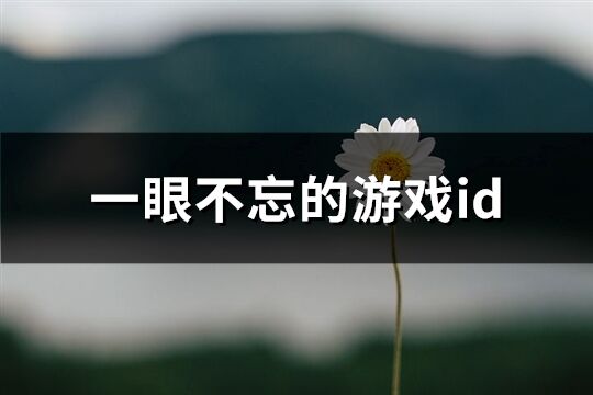 一眼不忘的游戏id(精选230个)