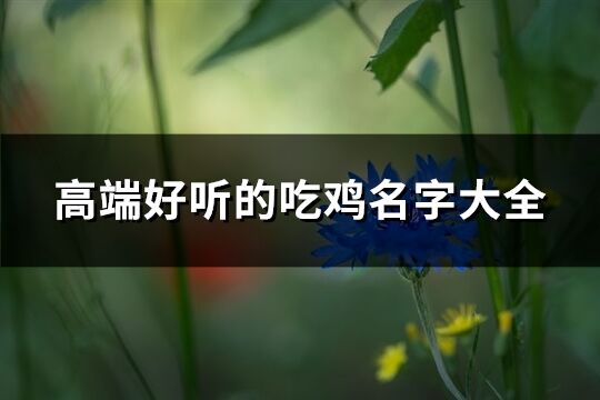 高端好听的吃鸡名字大全(共269个)