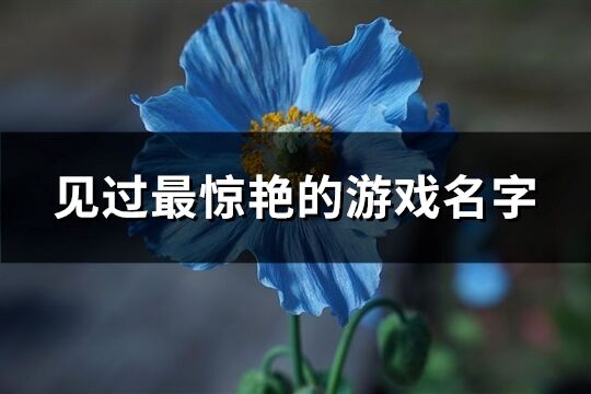 见过最惊艳的游戏名字(共350个)