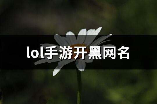 lol手游开黑网名(精选192个)