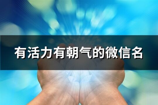 有活力有朝气的微信名(精选890个)