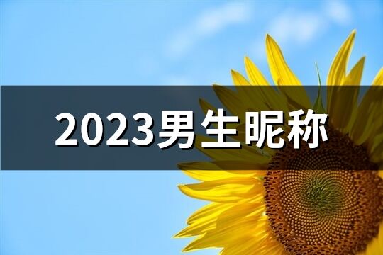 2023男生昵称(962个)