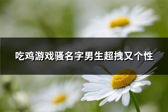 吃鸡游戏骚名字男生超拽又个性(精选399个)