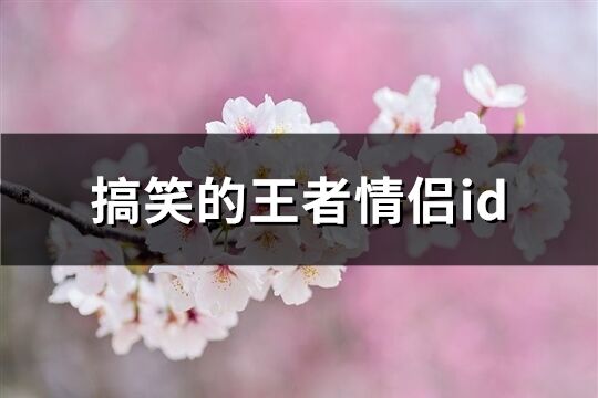 搞笑的王者情侣id(精选66个)