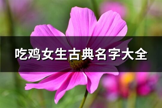 吃鸡女生古典名字大全(共307个)