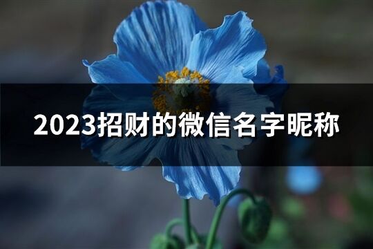 2023招财的微信名字昵称(共1333个)