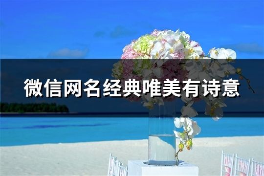 微信网名经典唯美有诗意(109个)