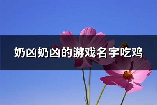 奶凶奶凶的游戏名字吃鸡(149个)