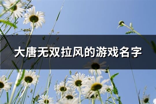 大唐无双拉风的游戏名字(共169个)