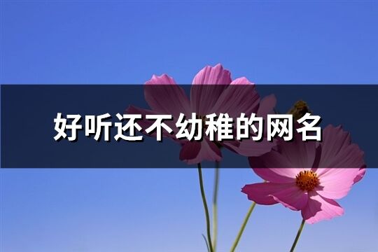 好听还不幼稚的网名(共139个)