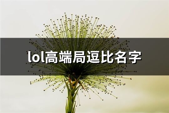 lol高端局逗比名字(198个)