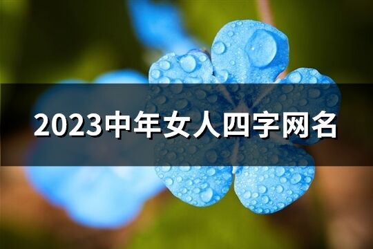 2023中年女人四字网名(共1795个)