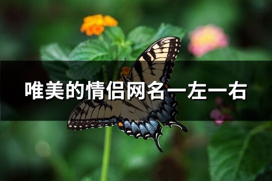 唯美的情侣网名一左一右(160个)