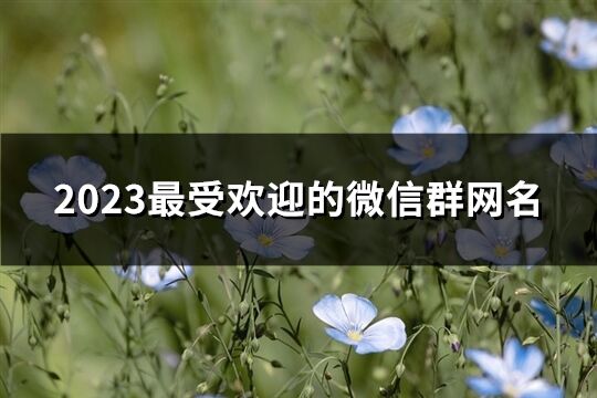 2023最受欢迎的微信群网名(精选221个)