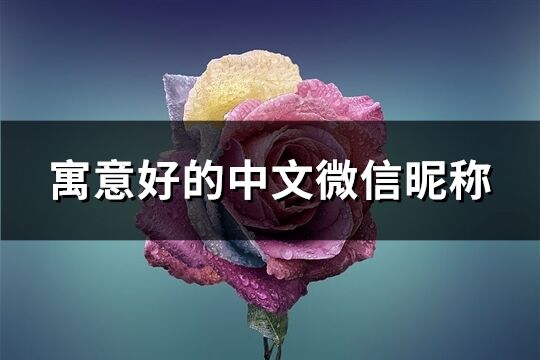 寓意好的中文微信昵称(655个)