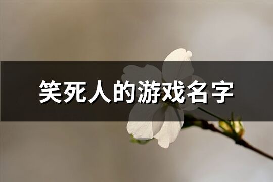 笑死人的游戏名字(共201个)